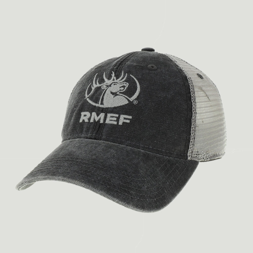 Dashboard Trucker Cap